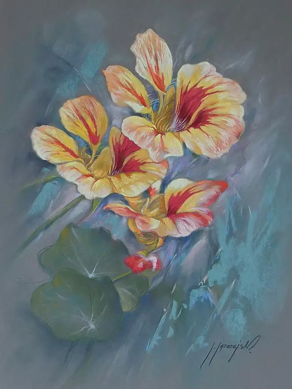 Jarosław Jędrzejski - nasturtium