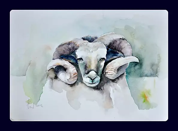 Beata Van Wijngaarden - OUR MEADOW-BARAN