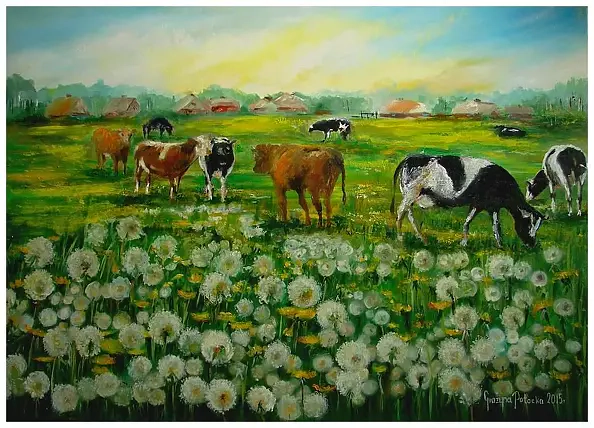 Grażyna Potocka - NA  WSI