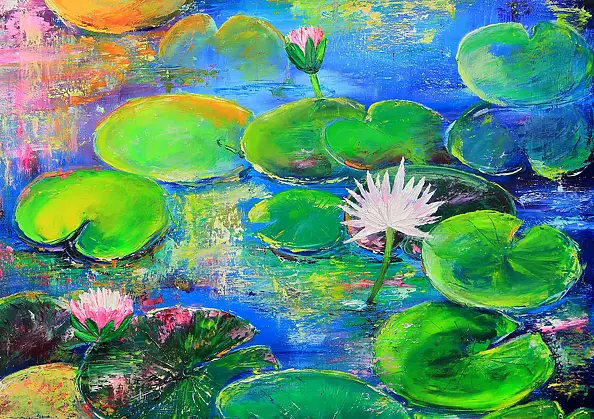 Radosław Popek - NENUFARY - WATER LILIES