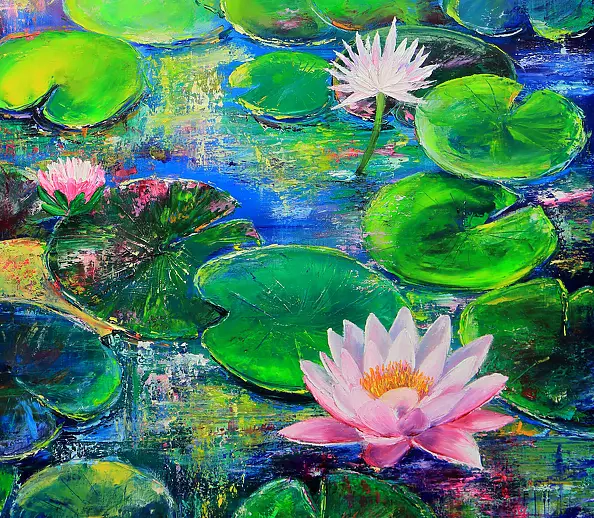 Radosław Popek - NENUFARY - WATER LILIES