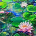 Radosław Popek - NENUFARY - WATER LILIES