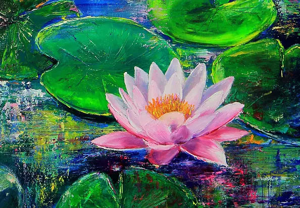 Radosław Popek - NENUFARY - WATER LILIES