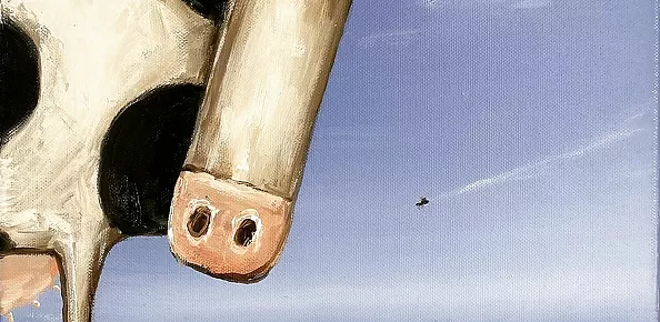 Andrzej Cybura - NIENORMALNA MUCHA