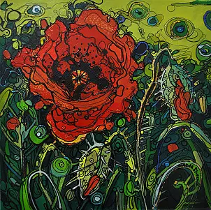   - NIepozorny-mak polny