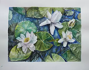 Magdalena Szymanska - Nymphaea