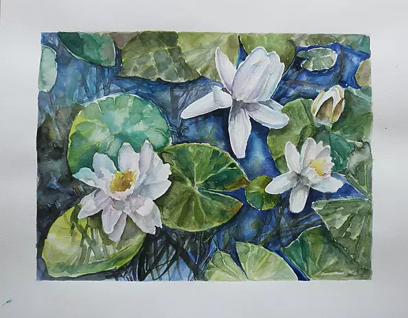 Magdalena Szymanska - NYMPHAEA