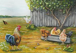 Katarzyna Niemczak - In Warmia