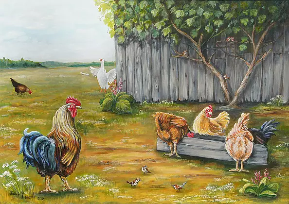 Katarzyna Niemczak - In Warmia