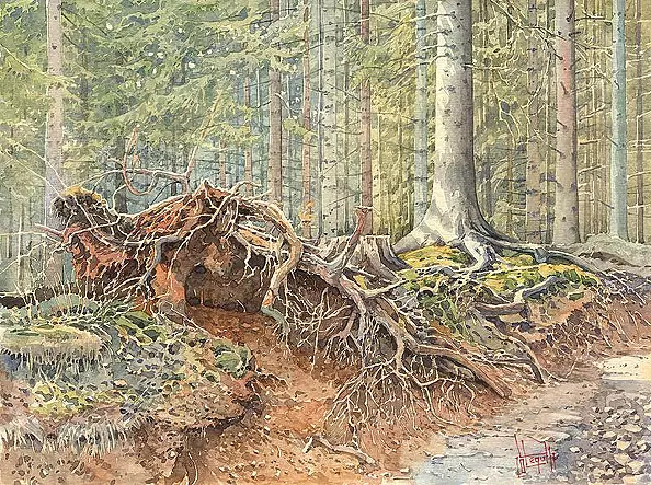 Leszek Legut - On the red trail, roots