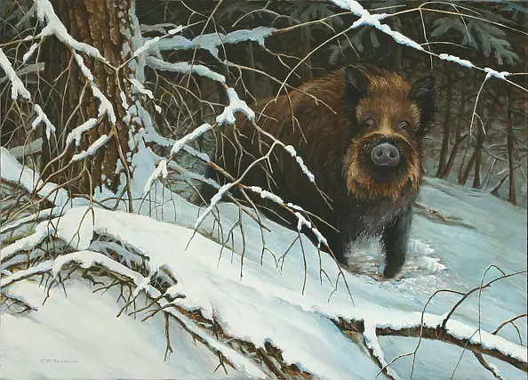 Michał Nowakowski -  On the trail dziczym