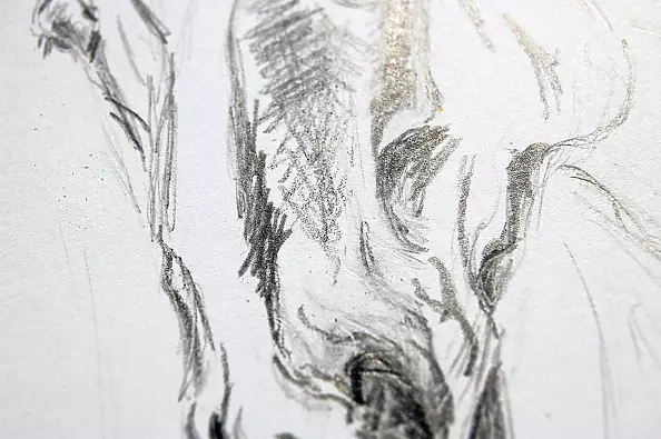 Amelia Augustyn - On the meadow