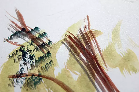 Amelia Augustyn - On the meadow