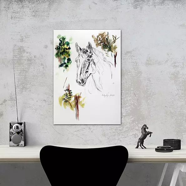 Amelia Augustyn - On the meadow