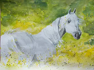 Adriana Laube - on the meadow