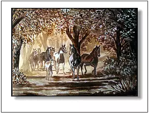 Jolanta Dusza - On the forest course