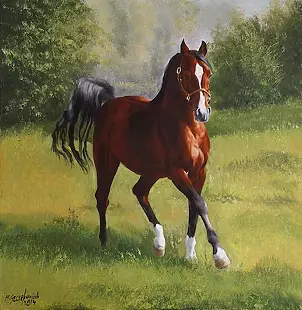 Marek Szczepaniak - Na pastwisku