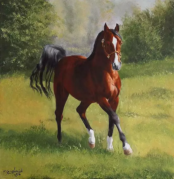 Marek Szczepaniak - the pasture