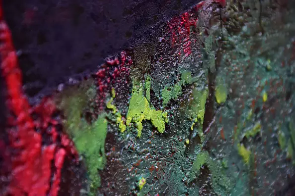 Grzegorz Skowronek - In the wasteland