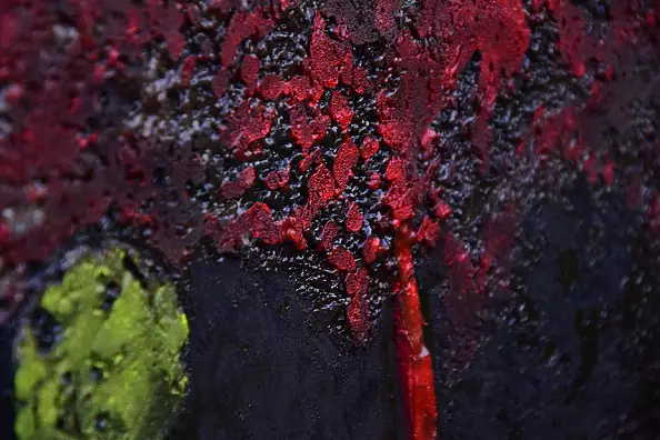 Grzegorz Skowronek - In the wasteland