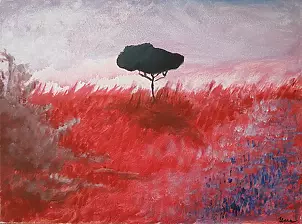 Magdalena Waszkiewicz - on safari