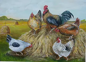 Katarzyna Niemczak - the hay