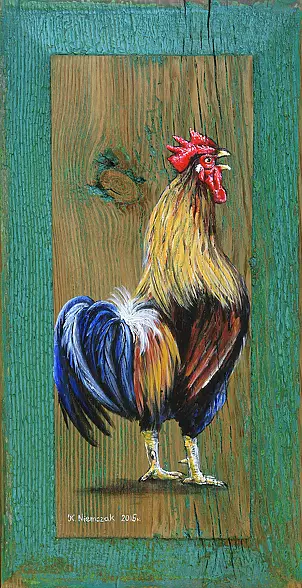   - On the old shutter 2