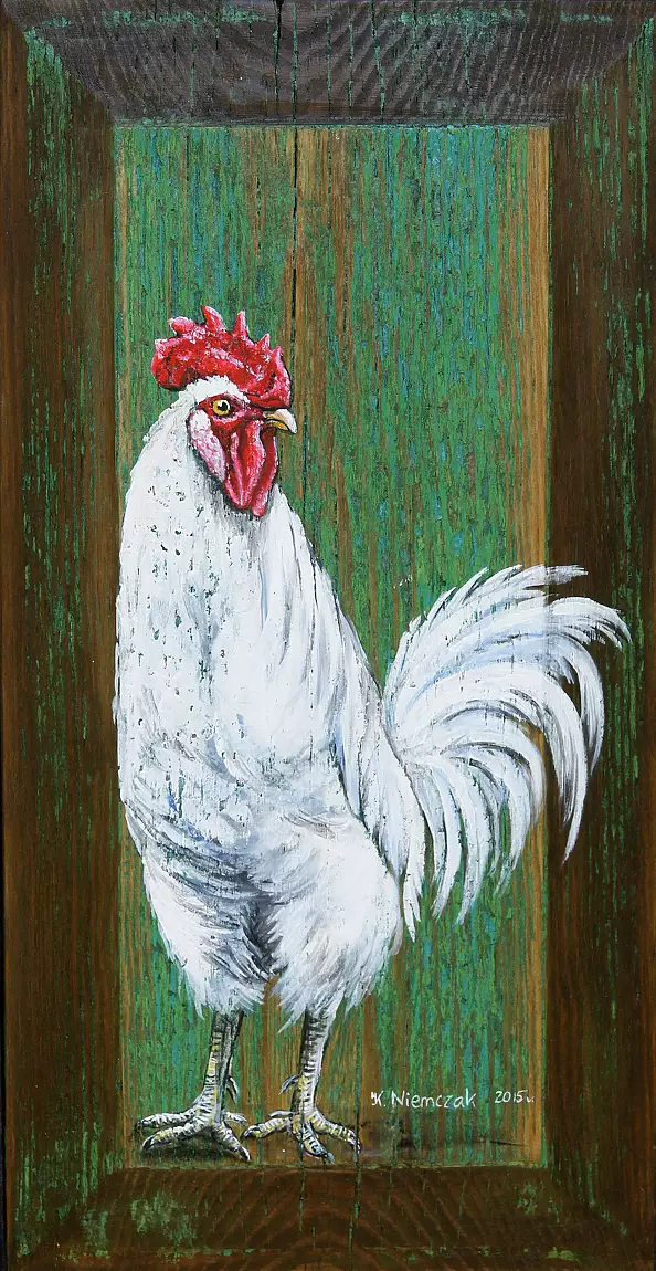 Katarzyna Niemczak - On the old shutter 4