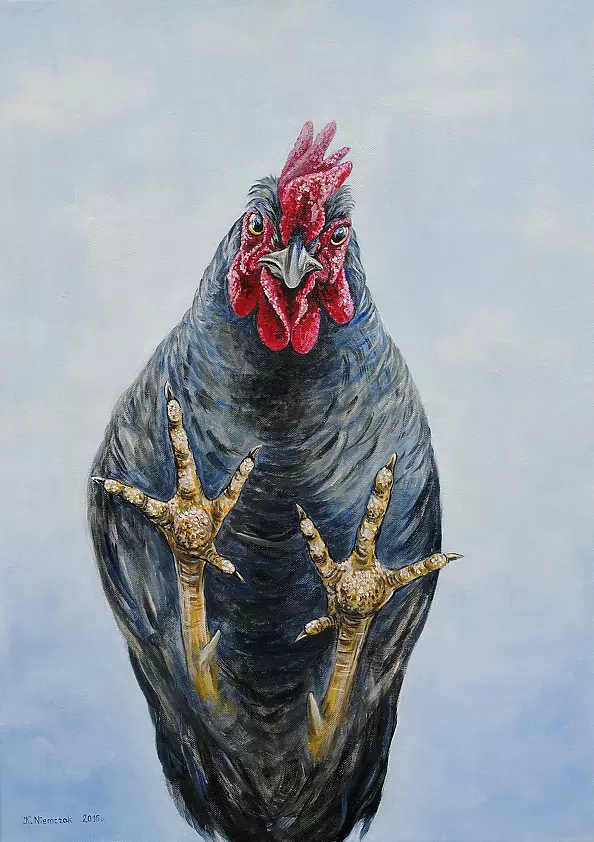 Katarzyna Niemczak - Against the background of the sky