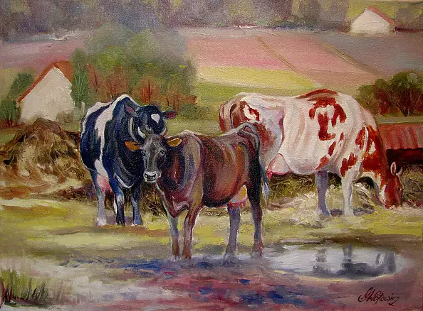 Małgorzata Wójtowicz Cichoń - Na wybiegu