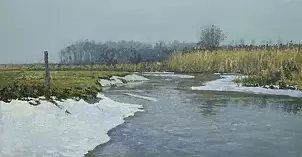 Wojciech Górecki - Biebrza