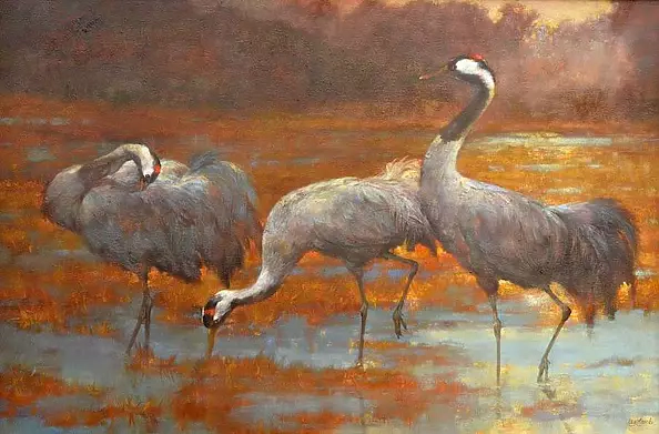 Ewa Lasek - The backwater Warta