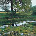 Grażyna Kulpińska - The pond - part of the triptych. 2