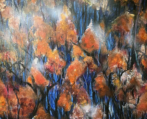 Ewa Mościszko - Nadleśnictwo Stuposiany,  buki