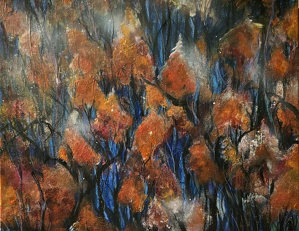 Ewa Mościszko - Nadleśnictwo Stuposiany,  buki