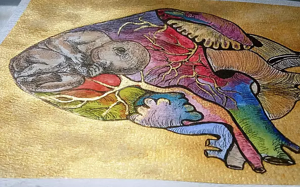 Bożena Ronowska - Nadzieja