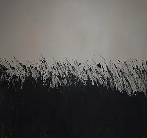 Iwona Jabłońska - The best here and now