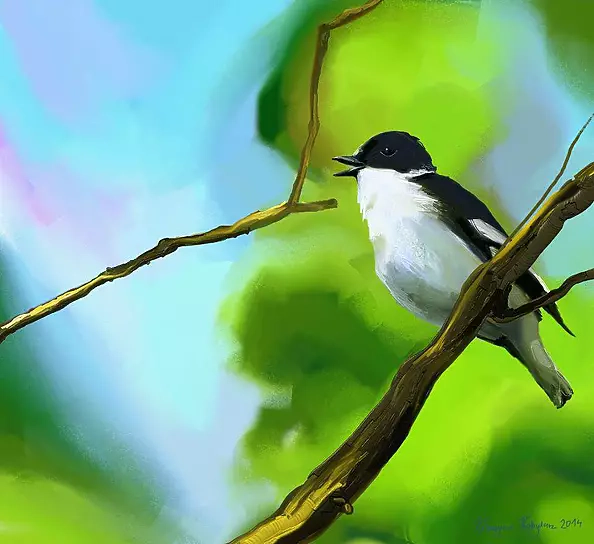 Katarzyna Kobylarz - Najwyższy ogród świata