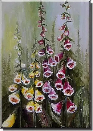 Beata Jańdzio - foxglove