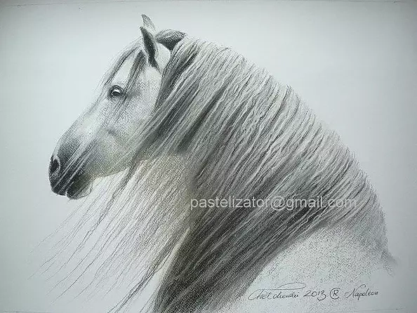 Robert Chełchowski - Napoleon