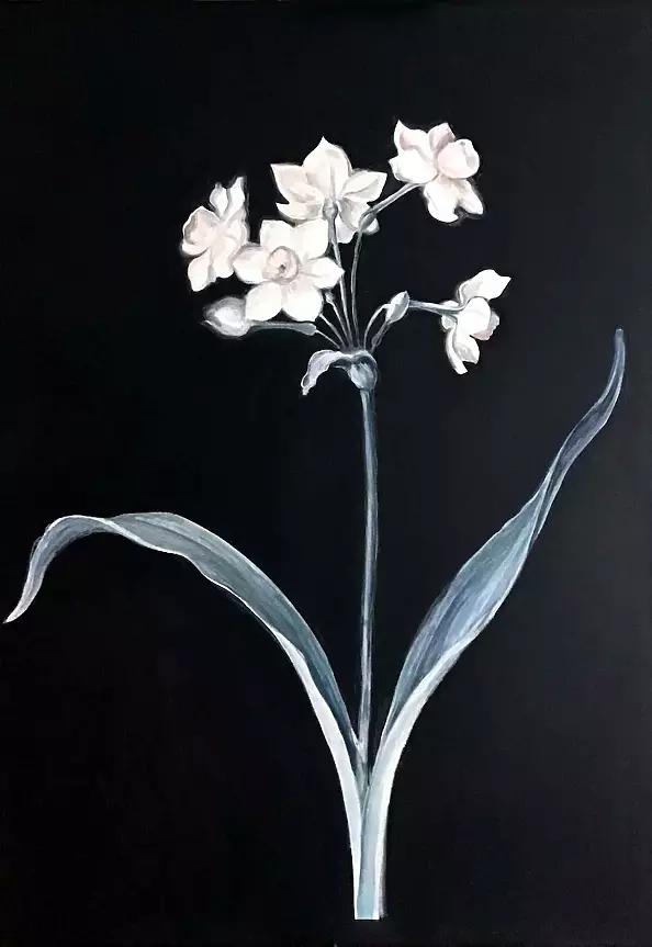 Maria Kuzak - Narcyze