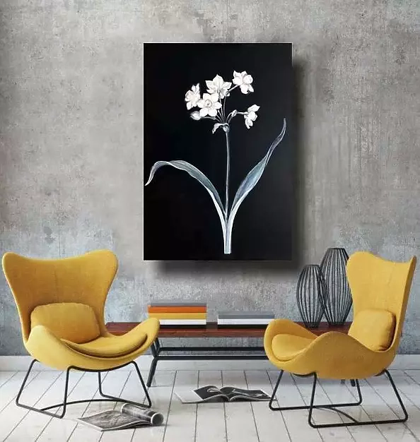 Maria Kuzak - Narcyze