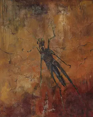   - rock entomograffiti