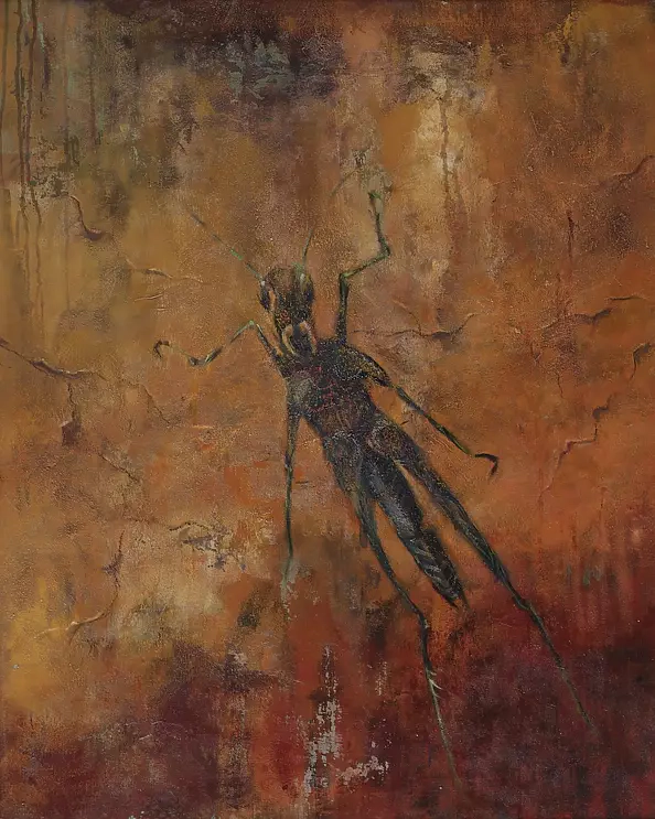 Anna Kloza Rozwadowska - Naskalne entomograffiti