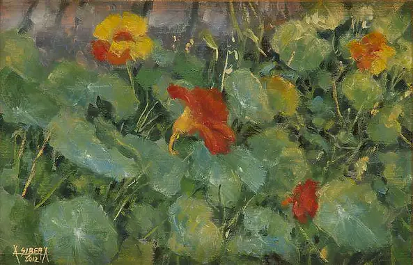 Alina Sibera - nasturtiums