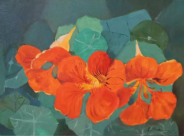 Ewa Słodzińska - nasturtiums