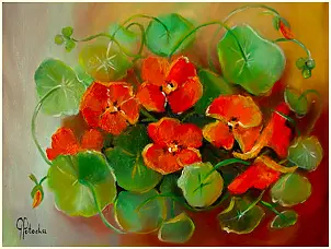 Grażyna Potocka - Kapuzinerkresse-Ölgemälde, 30-40 cm