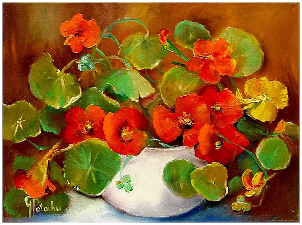 Grażyna Potocka - Kapuzinerkresse-Ölgemälde, 30-40 cm