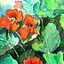 Zdzisław Rutkowski - nasturtiums II