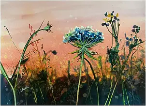 Joanna Magdalena - Saturation